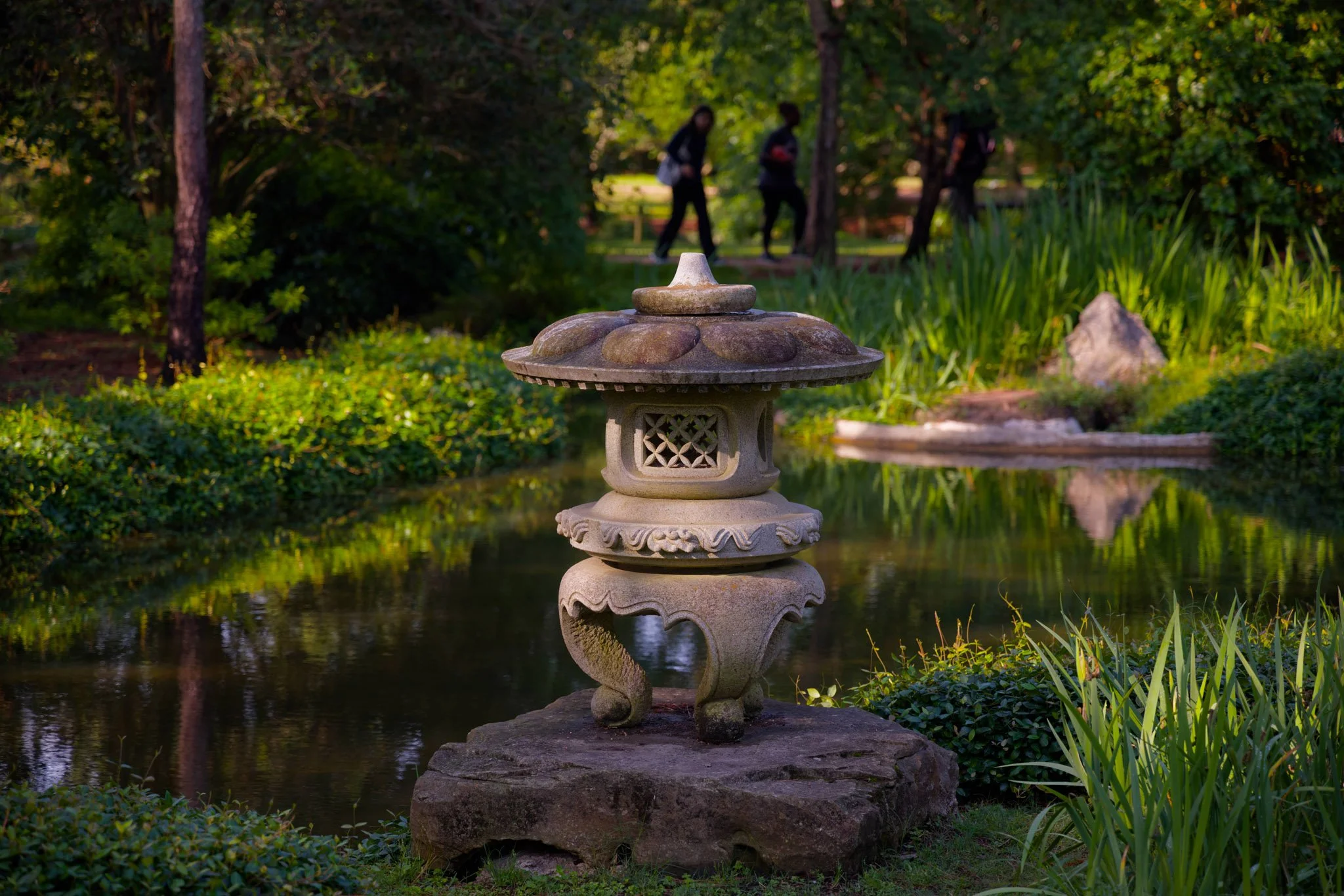 ☘️aiiKEN73*Garden☘️ショールーム☘️AG20260626 2025 Summer Japanese Garden Cleanup — Japan-America Society of Houston